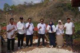 Monev oleh DPKP Kota Yogyakarta sebagai Penyedia bibit Pisang raja